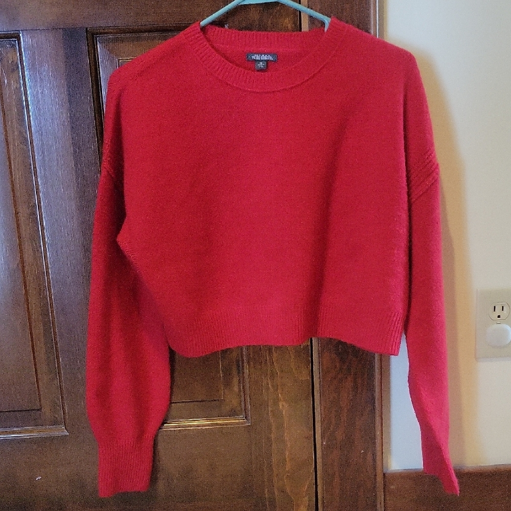 Wild Fable Vibrant Red Crew Neck Sweater